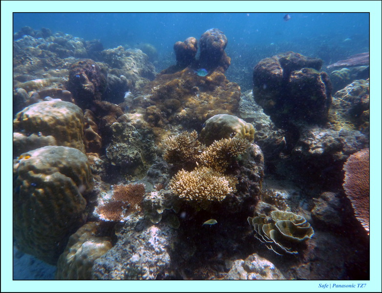 2009   07   Perhentians 040